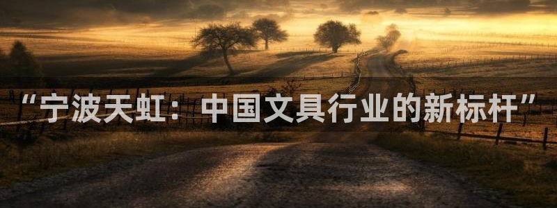 龙八国际怎么进不去了