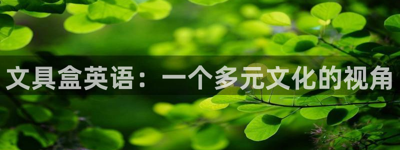 龙八国际网b48点tv：文具盒英语：一个