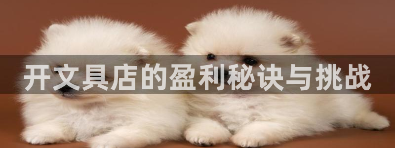 龙八国际服官网下载安卓：开文具店的盈利秘