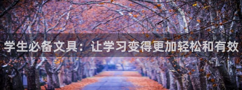 龙八国际服官网下载安装：学生必备文具：让