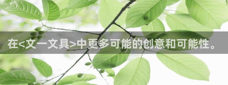龙八国际手机登录首页：在<文一文具>中更