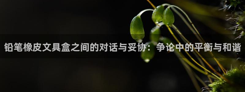 龙八国际靠谱吗：铅笔橡皮文具盒之间的对话