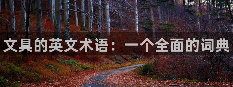 龙八国际平台网站：文具的英文术语：一个全