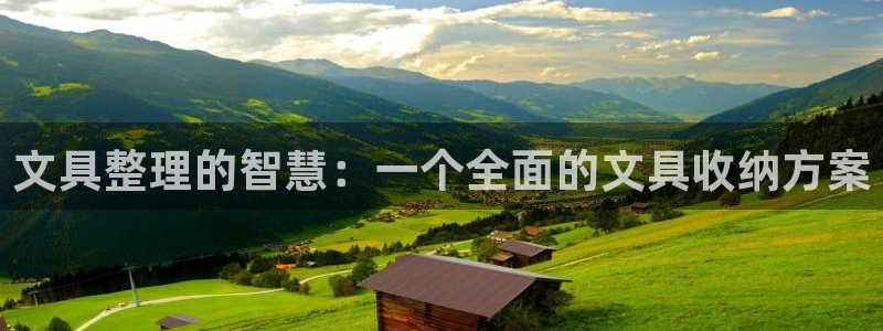 龙八国际在线：文具整理的智慧：一个全面的
