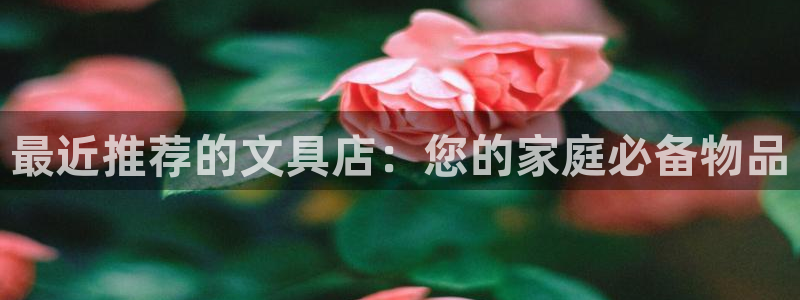 龙八国际手机版入口：最近推荐的文具店：您
