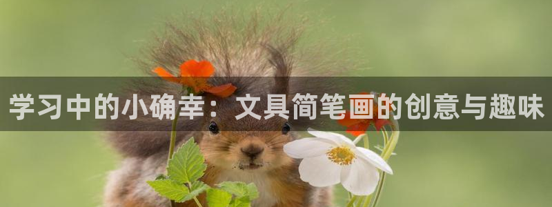 龙八国际在哪里啊：学习中的小确幸：文具简