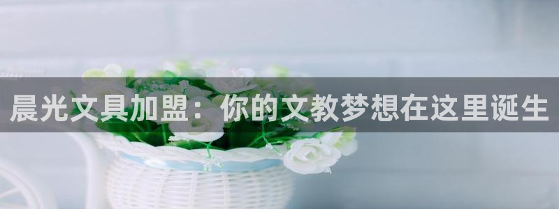 下载龙八国际大片：晨光文具加盟：你的文教