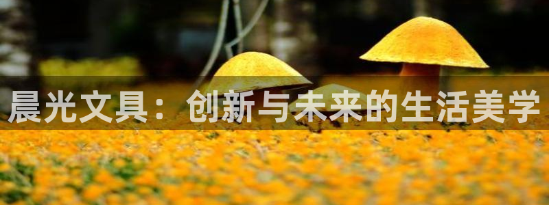 龙八国际客户端登录：晨光文具：创新与未来