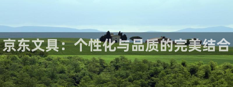 龙八国际改名：京东文具：个性化与品质的完