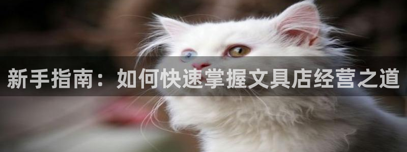 龙八国际客户端下载苹果：新手指南：如何快