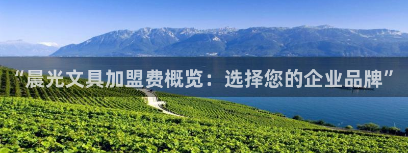 龙八国际网页登录：“晨光文具加盟费概览：