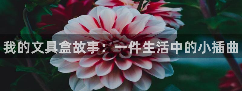 龙八国际手机app：我的文具盒故事：一件