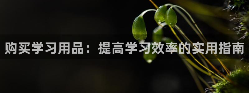 龙八国际报警：购买学习用品：提高学习效率