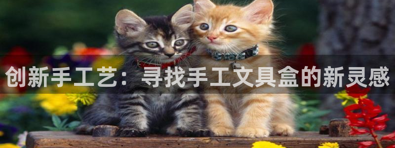 龙八国际娱乐游戏：创新手工艺：寻找手工文