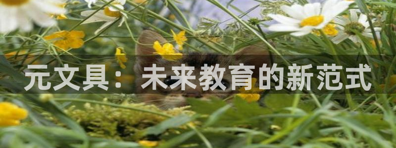 龙八国际管网：元文具：未来教育的新范式