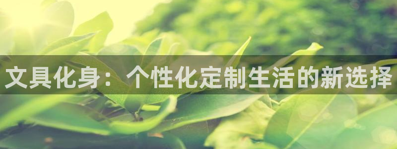 龙八国际软件下载：文具化身：个性化定制生