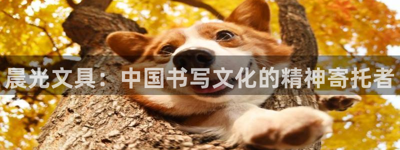 龙八国际app官方下载：晨光文具：中国书