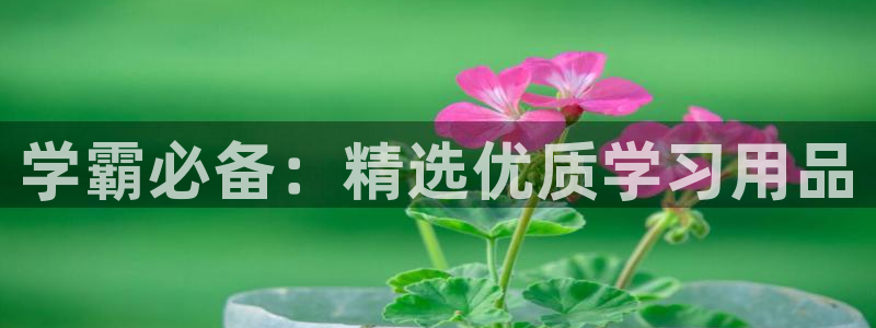 龙八国际服官网下载安装：学霸必备：精选优