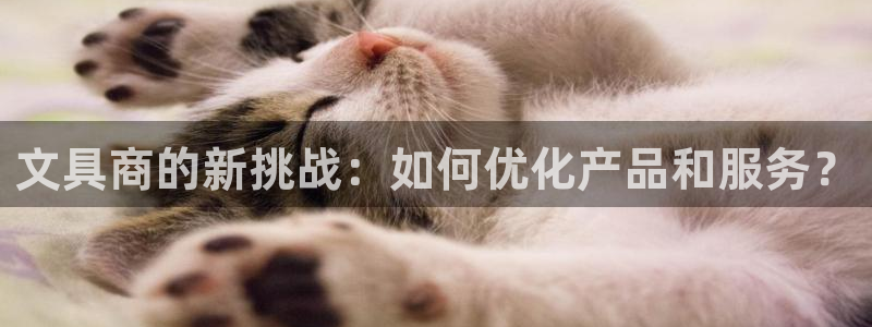 龙八国际官网app下载：文具商的新挑战：