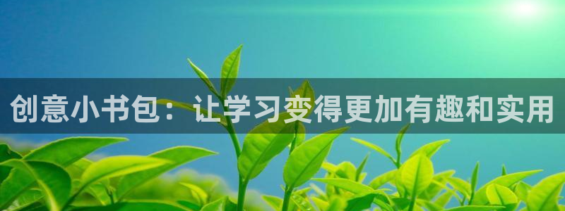 龙八国际在哪里啊：创意小书包：让学习变得