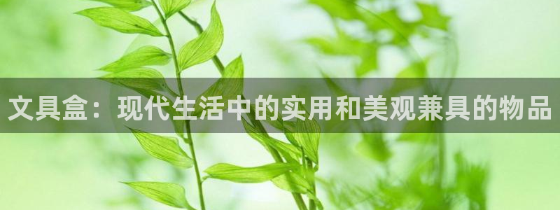 龙八国际官网下载：文具盒：现代生活中的实