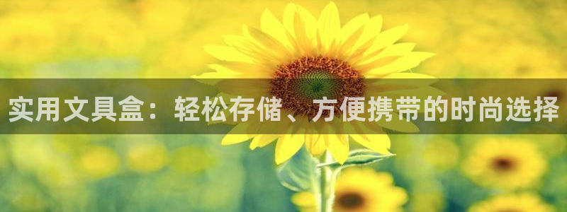 龙八国际pt：实用文具盒：轻松存储、方便