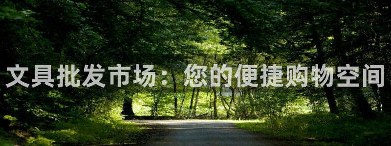 龙八国际下载官网平台：文具批发市场：您的