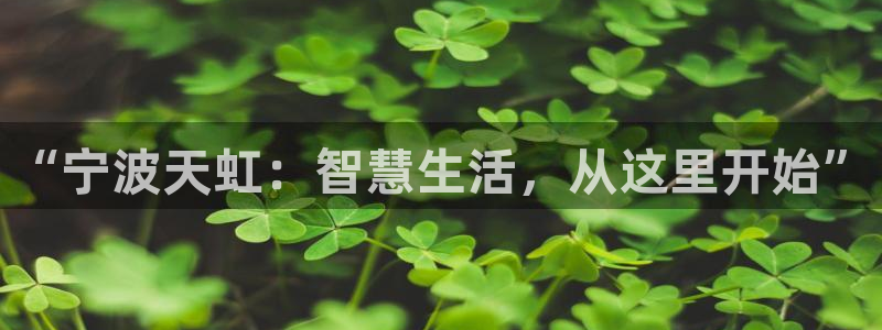 龙八国际安全：“宁波天虹：智慧生活，从这