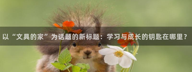 龙八国际安全吗：以“文具的家”为话题的新