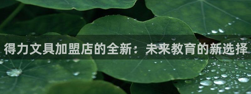 龙八国际游戏视频：得力文具加盟店的全新：