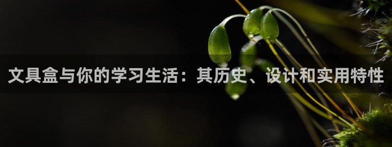 龙八国际官网下载安卓：文具盒与你的学习生