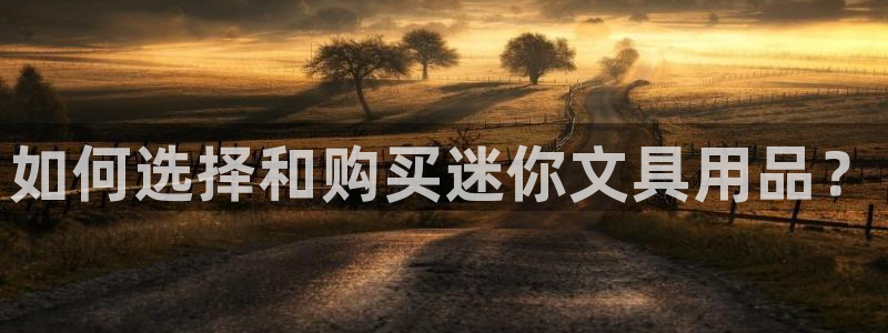 龙八国际APP官方版：如何选择和购买迷你