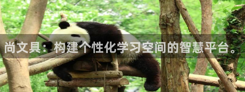 龙八国际官网首页网页版：尚文具：构建个性