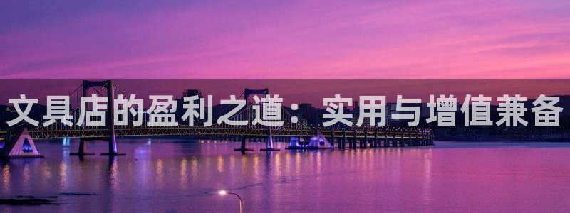 龙八国际是什么：文具店的盈利之道：实用与