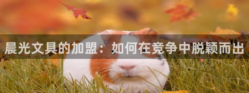 龙八国际娱乐app下载：晨光文具的加盟：