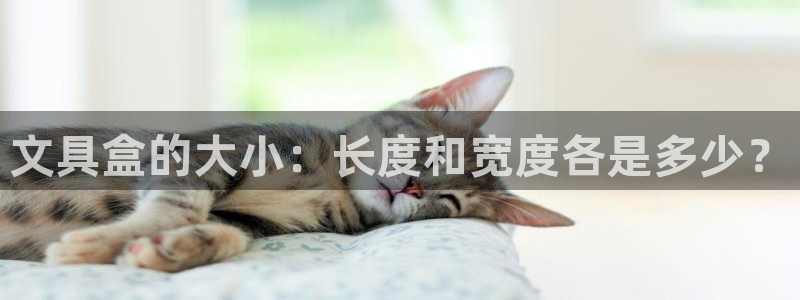 龙八国际服官网站：文具盒的大小：长度和宽