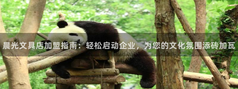 龙八国际2023：晨光文具店加盟指南：轻