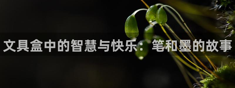 龙八国际彩金购买：文具盒中的智慧与快乐：
