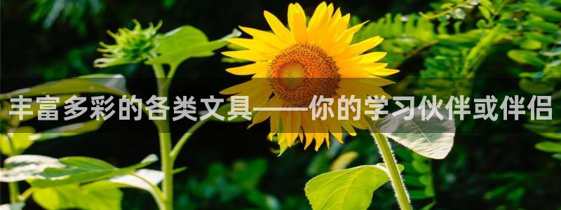 龙八国际贸易有限公司：丰富多彩的各类文具