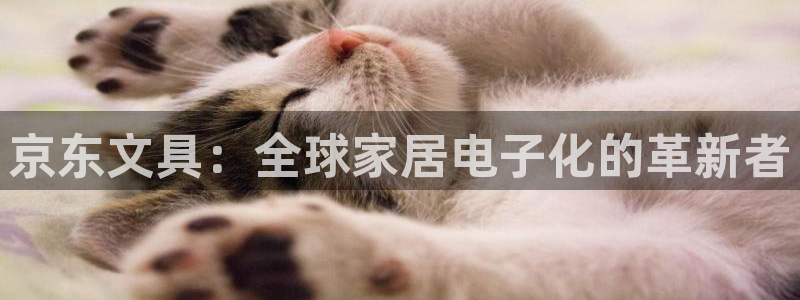 龙八国际网易云音乐：京东文具：全球家居电