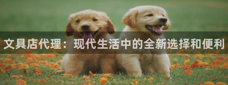 龙八国际官网网址：文具店代理：现代生活中