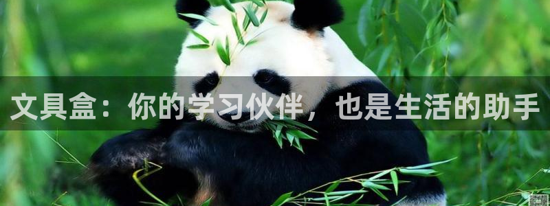 龙八国际网b48点tv：文具盒：你的学习