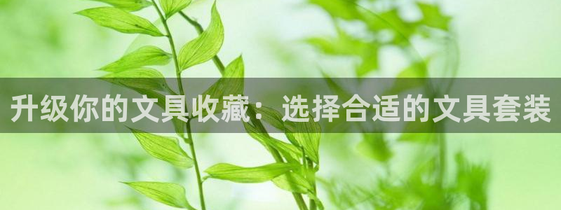 龙八国际网店客服电话：升级你的文具收藏：