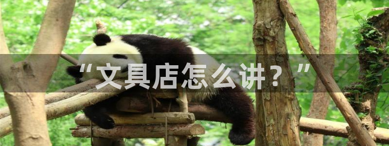 龙八国际pT娱乐官网