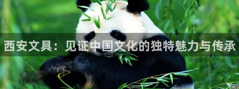 龙八国际平台手机版下载：西安文具：见证中