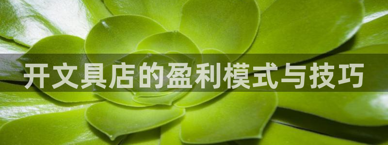 菲律宾龙八国际杀猪：开文具店的盈利模式与