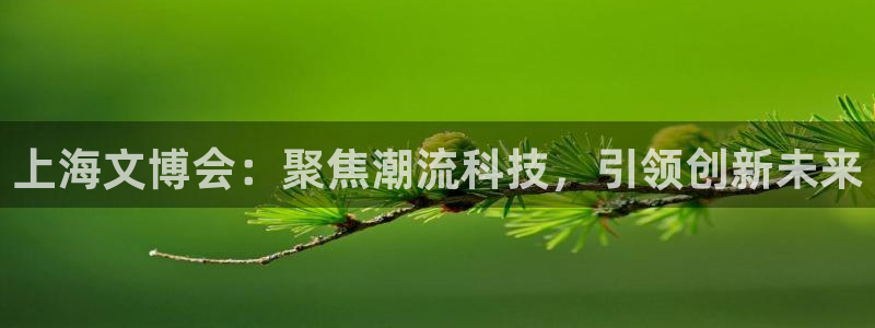 龙八国际手机客户端下载app：上海文博会