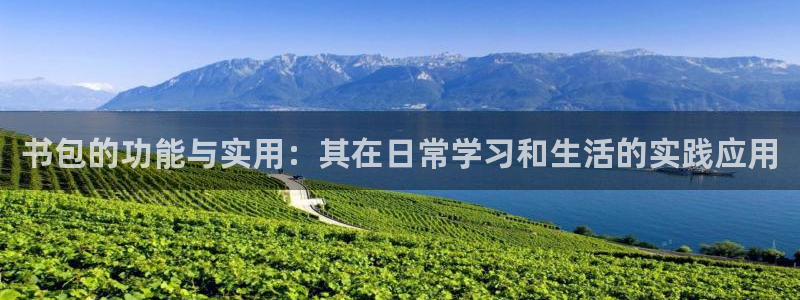 龙八国际怎么注册手机端：书包的功能与实用
