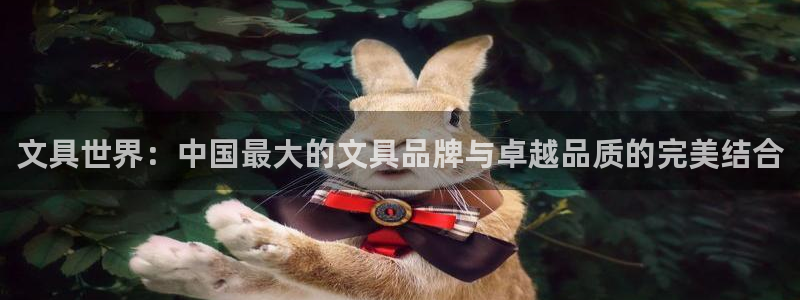 龙八国际视频网站：文具世界：中国最大的文