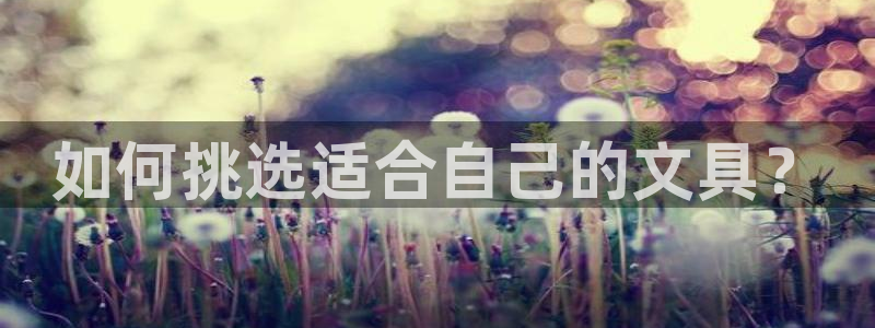 龙八国际老虎：如何挑选适合自己的文具？